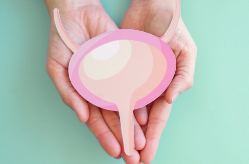 Señales importantes de los pequeños escapes con Dra. Nelly Achar